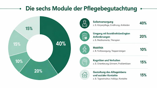 Diagramm der sechs Module der Pflegebegutachtung mit Gewichtung, Selbstversorgung mit 40 Prozent am stärksten.