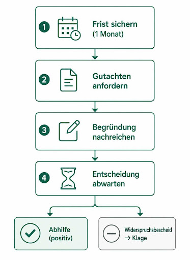 Ablauf des Pflegegrad-Widerspruchs in vier Schritten mit den Ergebnissen Abhilfe oder Widerspruchsbescheid.
